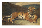 Tiger Reclining by Antoine Louis Barye