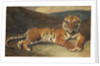 Tiger Reclining by Antoine Louis Barye