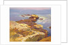 Rocks and Sea by Edward Henry Potthast