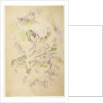 Study for Trees by Paul Cezanne