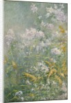 Meadow Flowers, c.1892 by John Henry Twachtman