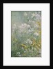 Meadow Flowers, c.1892 by John Henry Twachtman