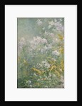 Meadow Flowers, c.1892 by John Henry Twachtman
