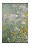 Meadow Flowers, c.1892 by John Henry Twachtman