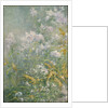 Meadow Flowers, c.1892 by John Henry Twachtman