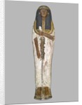 Coffin of the Lady of the House, Weretwahset by Egyptian 19th Dynasty