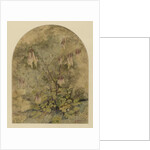 Wildflowers by John William Hill