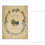 Untitled by Catherine Emma Manley