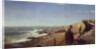 Rocks at Nahant, 1864 by William Stanley Haseltine
