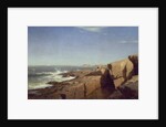 Rocks at Nahant, 1864 by William Stanley Haseltine