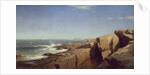 Rocks at Nahant, 1864 by William Stanley Haseltine