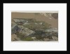 Study of Rocks, 1870s-1880s by William Trost Richards