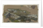 Study of Rocks, 1870s-1880s by William Trost Richards
