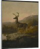 Deer, 1855 by Thomas Hewes Hinckley