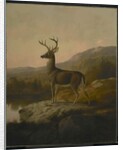Deer, 1855 by Thomas Hewes Hinckley