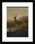 Deer, 1855 by Thomas Hewes Hinckley