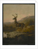 Deer, 1855 by Thomas Hewes Hinckley