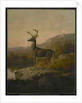 Deer, 1855 by Thomas Hewes Hinckley