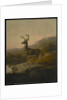 Deer, 1855 by Thomas Hewes Hinckley