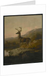Deer, 1855 by Thomas Hewes Hinckley