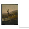 Deer, 1855 by Thomas Hewes Hinckley