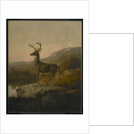 Deer, 1855 by Thomas Hewes Hinckley