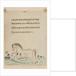 Horse by Indian School