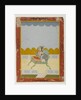 Portrait of Phul Kaur of Jaipur by Indian School