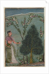 Lady in the wilderness by Indian School