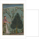 Lady in the wilderness by Indian School