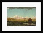 Summer Showers, c.1862-63 by Martin Johnson Heade