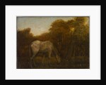 The Grazing Horse, mid 1870s by Albert Pinkham Ryder