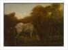 The Grazing Horse, mid 1870s by Albert Pinkham Ryder