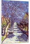 North Sydney Jacaranda, 1990 by Ted Blackall