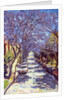 North Sydney Jacaranda, 1990 by Ted Blackall