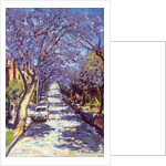 North Sydney Jacaranda, 1990 by Ted Blackall