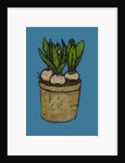 Hyacinths, 2016 by Sarah Thompson-Engels