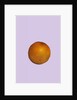 Orange, 2015 by Sarah Thompson-Engels