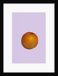 Orange, 2015 by Sarah Thompson-Engels