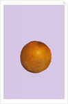 Orange, 2015 by Sarah Thompson-Engels