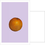 Orange, 2015 by Sarah Thompson-Engels