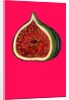 Fig, 2009 by Sarah Thompson-Engels
