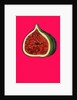 Fig, 2009 by Sarah Thompson-Engels