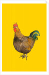 Cockerel, 2006 by Sarah Thompson-Engels