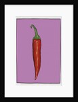Chilli pepper purple,2004 by Sarah Thompson-Engels