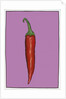 Chilli pepper purple,2004 by Sarah Thompson-Engels