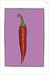 Chilli pepper purple,2004 by Sarah Thompson-Engels