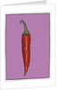 Chilli pepper purple,2004 by Sarah Thompson-Engels
