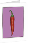 Chilli pepper purple,2004 by Sarah Thompson-Engels