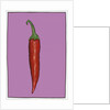 Chilli pepper purple,2004 by Sarah Thompson-Engels